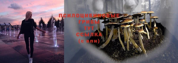 а пвп мука Алзамай
