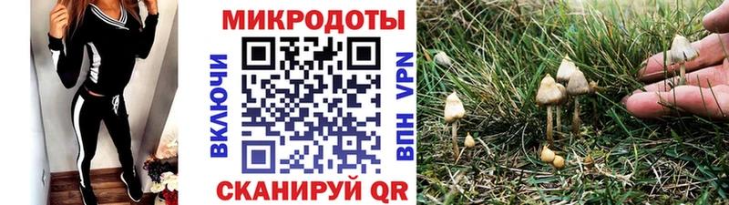 Псилоцибиновые грибы прущие грибы  Пучеж 